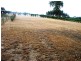Lot 3 Wells Road, Mirboo North VIC 3871