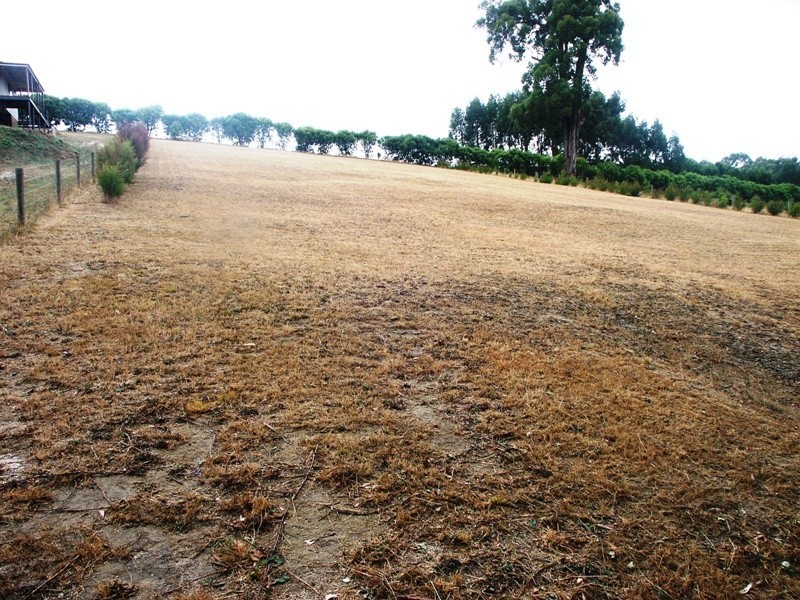 Lot 3 Wells Road, Mirboo North VIC 3871