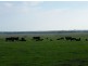 165 West Creek Road, West Creek VIC 3992