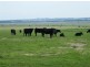 165 West Creek Road, West Creek VIC 3992