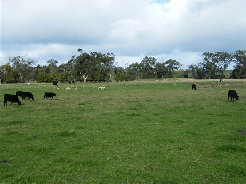 40 Moores Road, Buffalo VIC 3958