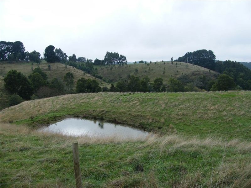 1550 Grand Ridge Road, Trida VIC 3953