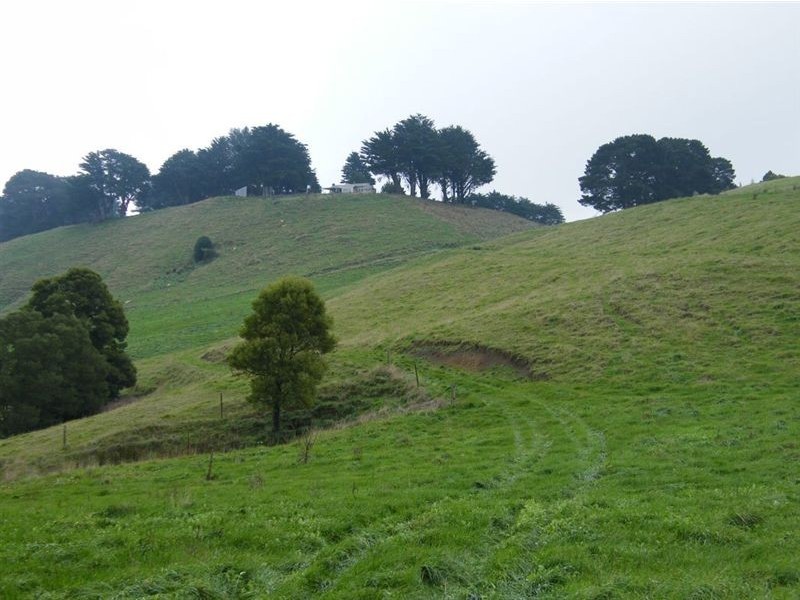 1550 Grand Ridge Road, Trida VIC 3953