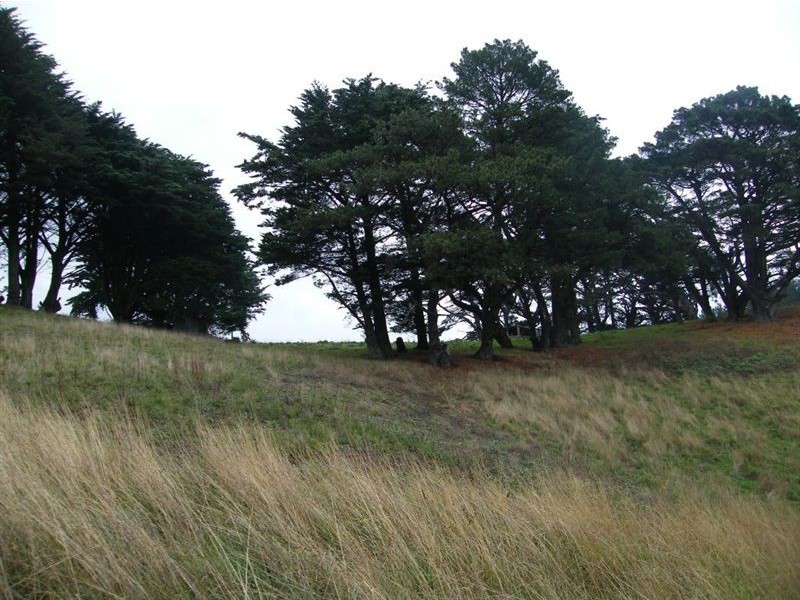 1550 Grand Ridge Road, Trida VIC 3953