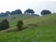 1550 Grand Ridge Rd, Trida VIC 3953