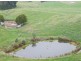 1550 Grand Ridge Rd, Trida VIC 3953