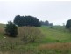 1550 Grand Ridge Rd, Trida VIC 3953