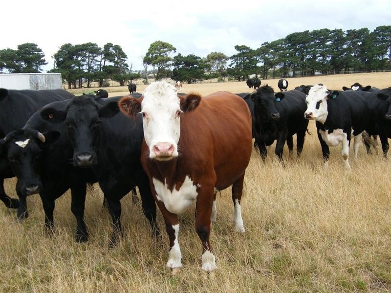 5355 Bass Highway, Inverloch VIC 3996