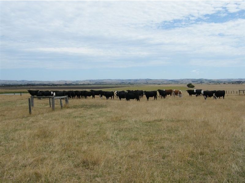 5355 Bass Highway, Inverloch VIC 3996