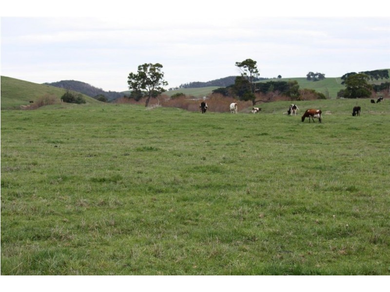 20 Armstrongs Road, Kongwak VIC 3951