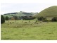 20 Armstrongs Road, Kongwak VIC 3951