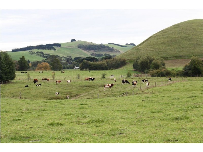 20 Armstrongs Road, Kongwak VIC 3951