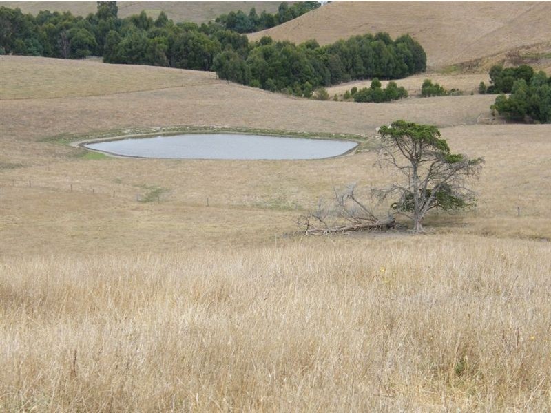 130 Koetsveldt Road, Archies Creek VIC 3995