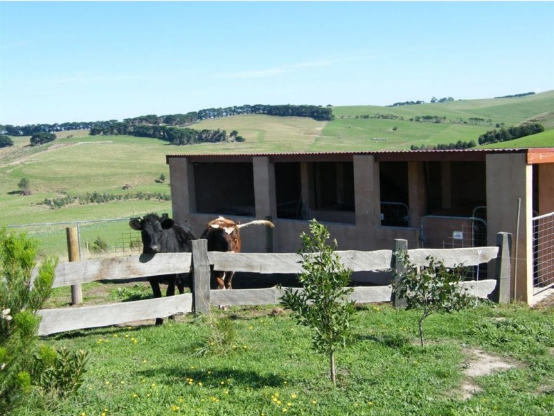 235 Korrine Road, Wonthaggi VIC 3995