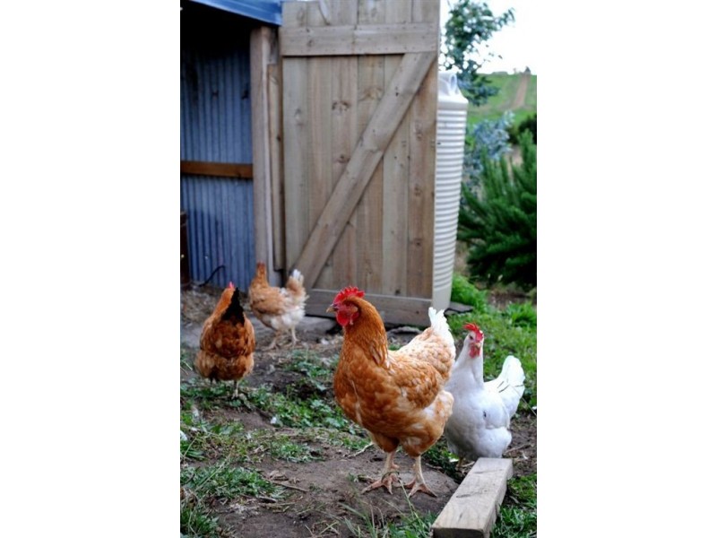 235 Korrine Road, Wonthaggi VIC 3995