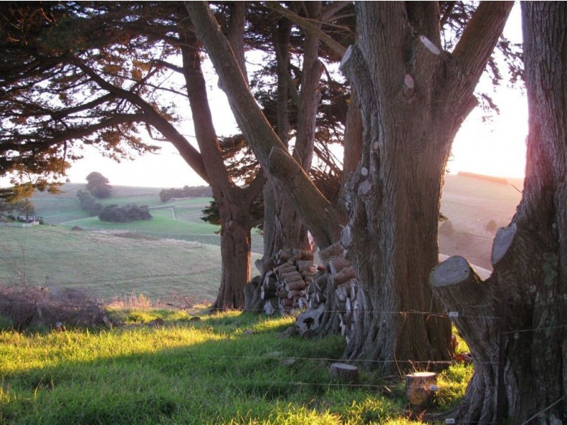 185 Smiths Road, Mardan VIC 3953