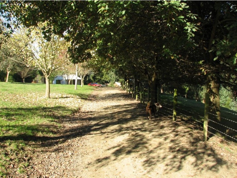 1059 Allambee Estate Road, Hallston VIC 3953