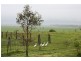 1730 Inverloch Venus Bay Road, Tarwin Lower VIC 3956