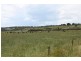 1730 Inverloch Venus Bay Road, Tarwin Lower VIC 3956