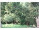 165 Arbuthnots Road, Tarwin Lower VIC 3956