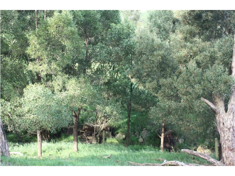 165 Arbuthnots Road, Tarwin Lower VIC 3956
