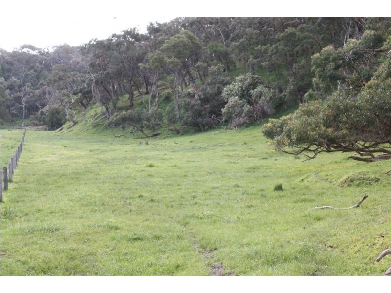 165 Arbuthnots Road, Tarwin Lower VIC 3956
