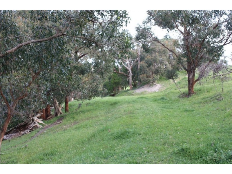 165 Arbuthnots Road, Tarwin Lower VIC 3956
