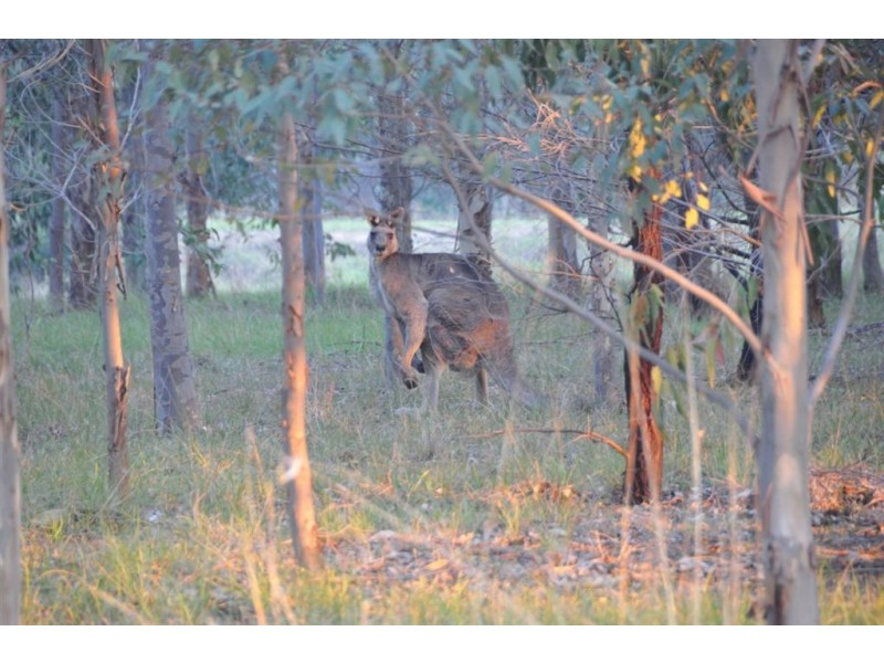 641 Duncans Road, Tambo Upper, East Bairnsdale VIC 3875