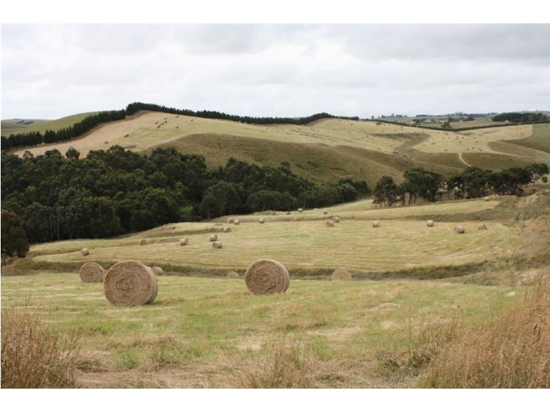 1 Hawkins Road, Archies Creek VIC 3995