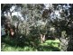 36 Surf Parade, Inverloch VIC 3996