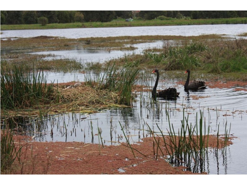 70 Desmond Road, Inverloch VIC 3996