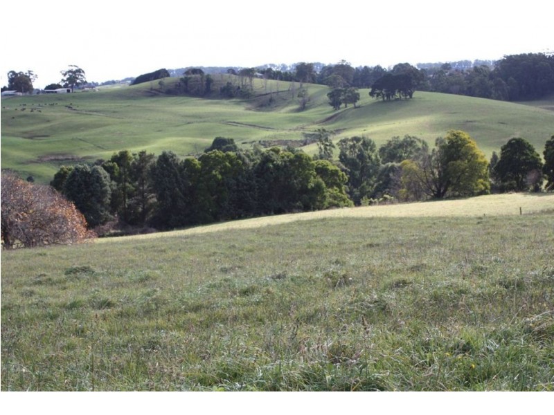 47 Old Mardan Road, Mirboo North VIC 3871