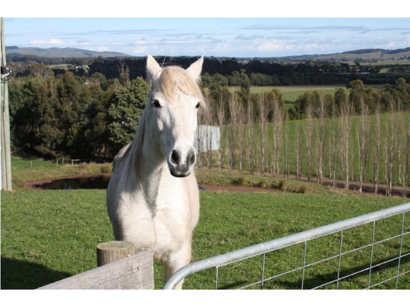 31 Collins Road, Woodleigh VIC 3945