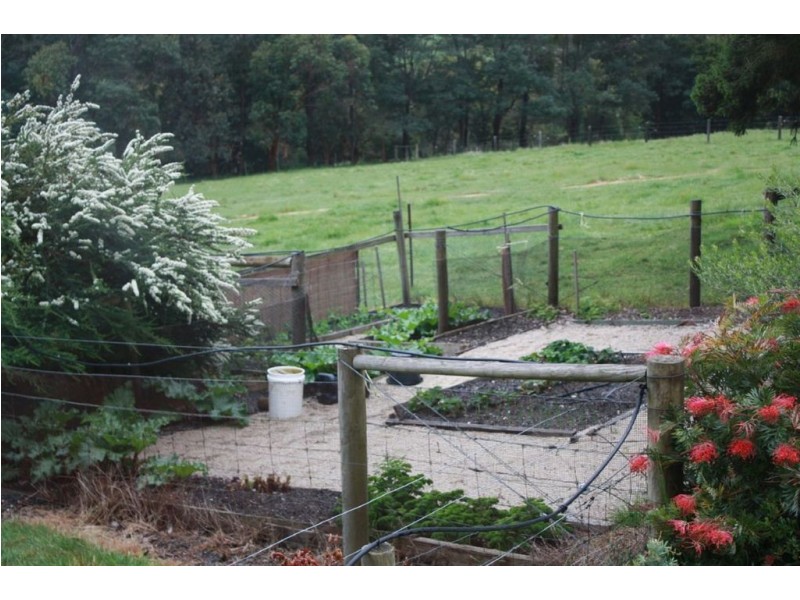 165 Caithness Road, Koonwarra VIC 3954