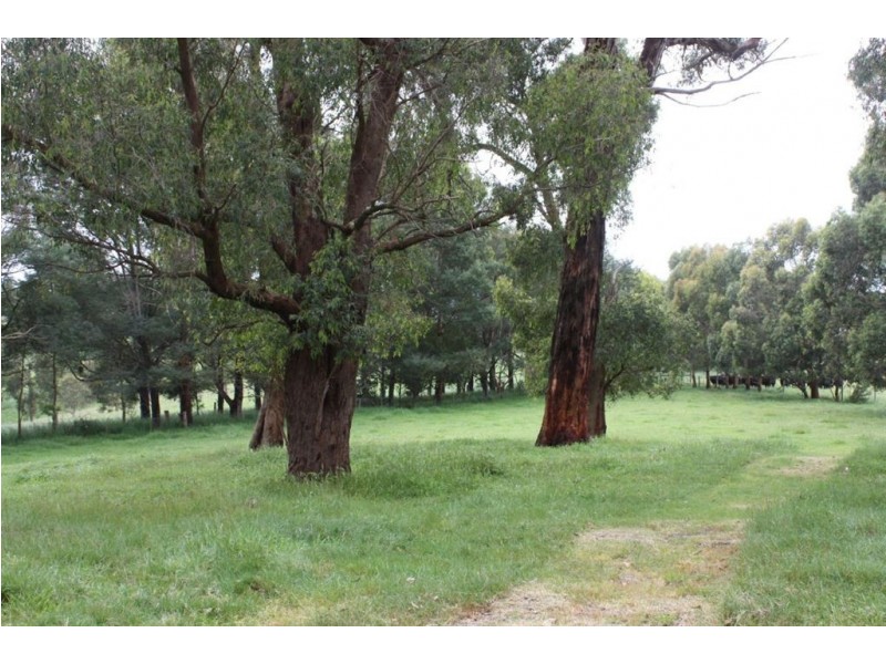 165 Caithness Road, Koonwarra VIC 3954