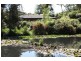 45-53 Young Street, Leongatha VIC 3953