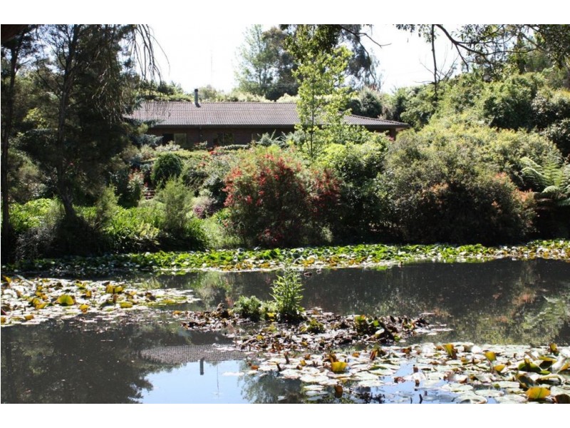 45-53 Young Street, Leongatha VIC 3953