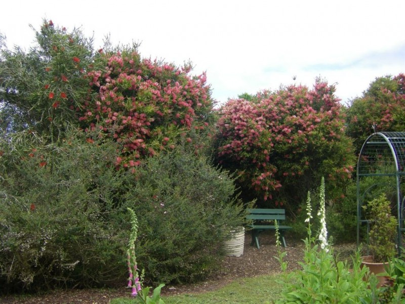 85 Sandy Point Road, Sandy Point VIC 3959