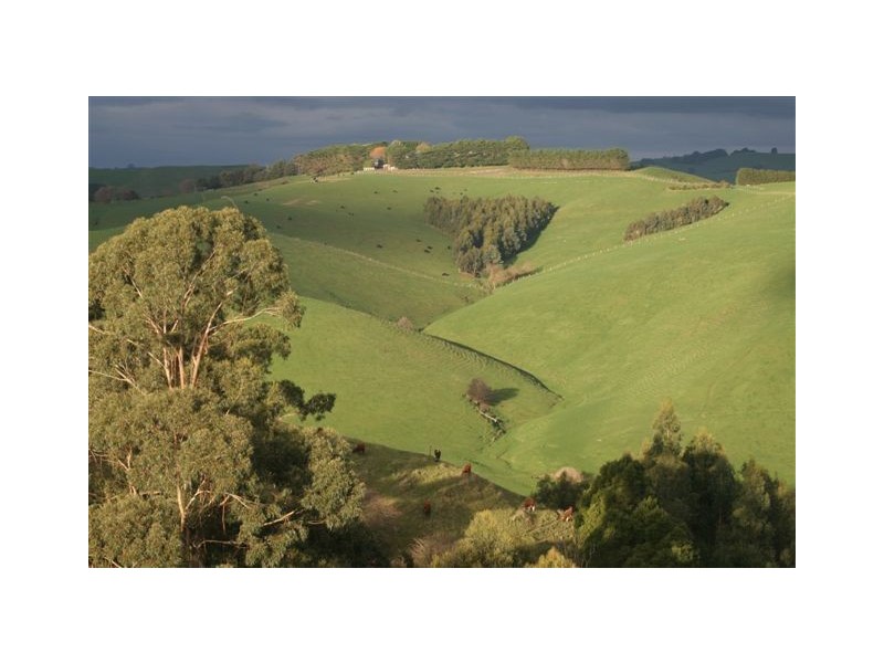 845 Bena Kongwak Road, Bena VIC 3946