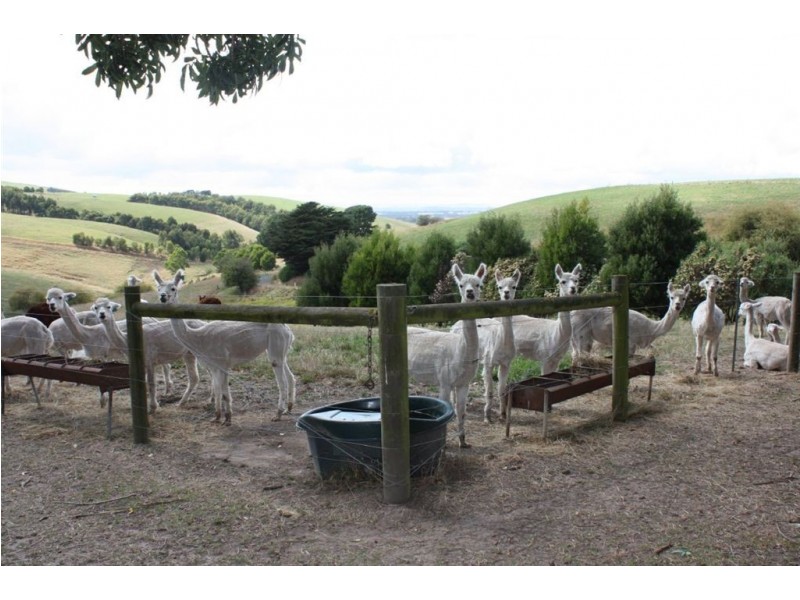 585 Clancys Road, Korumburra South VIC 3950