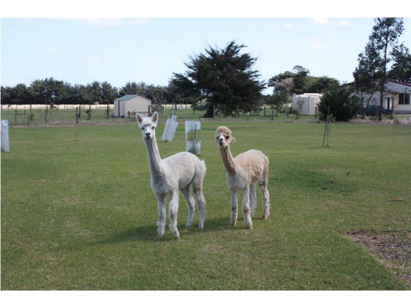 8 Cumberland Court, Tarwin Lower VIC 3956