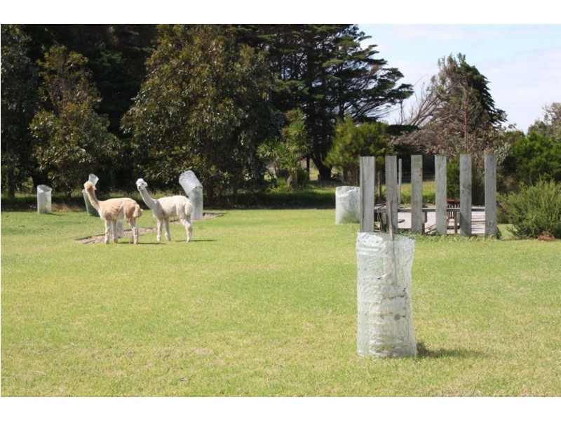 8 Cumberland Court, Tarwin Lower VIC 3956