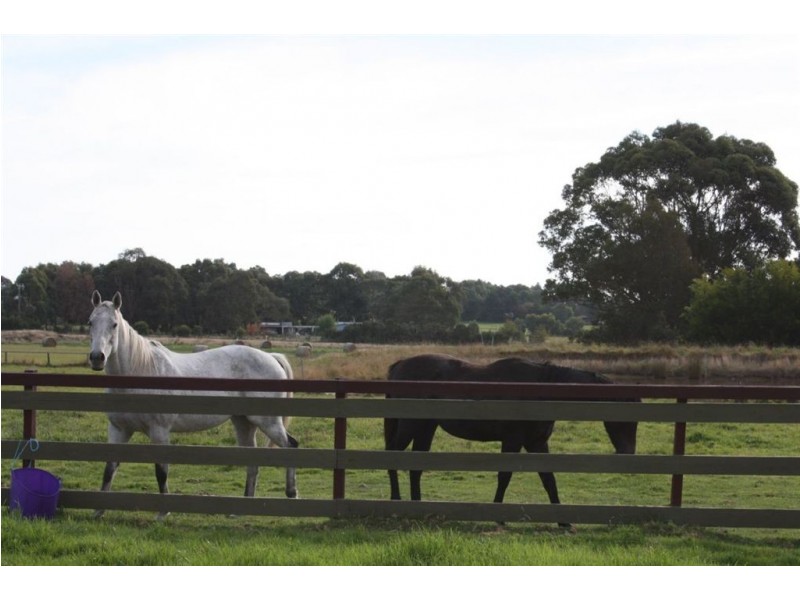 5 Daniels Road, Wattle Bank VIC 3995