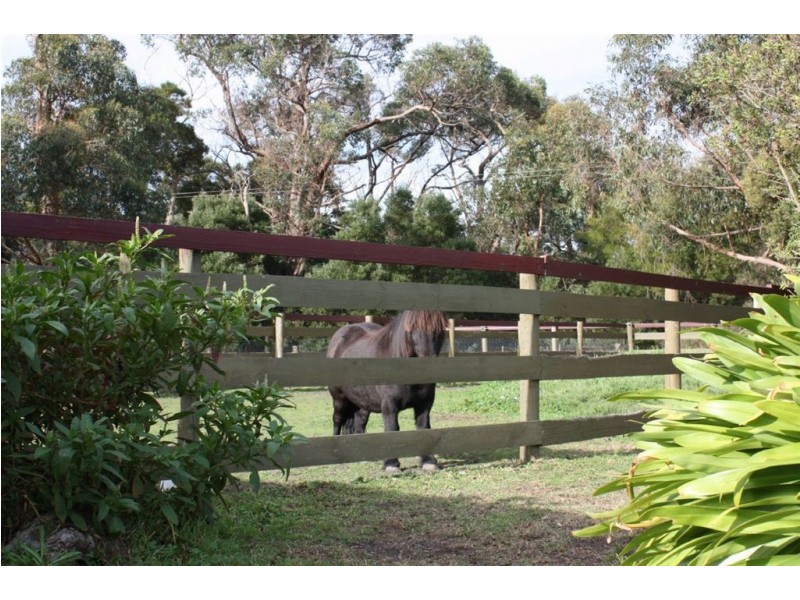 5 Daniels Road, Wattle Bank VIC 3995