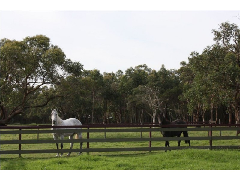 5 Daniels Road, Wattle Bank VIC 3995