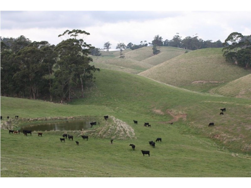 1921 Warragul Korumburra Rd, Mountain View VIC 3988