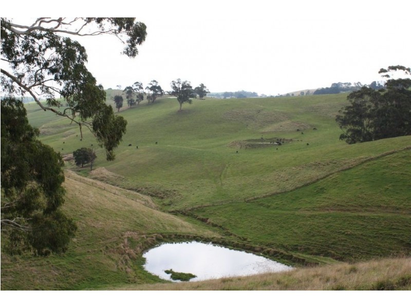 1921 Warragul Korumburra Rd, Mountain View VIC 3988