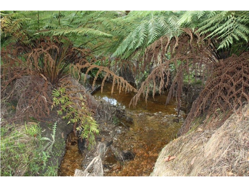 4 Francis Court, Foster VIC 3960