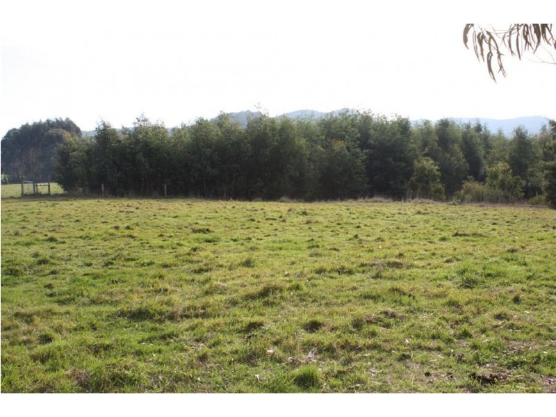 4 Francis Court, Foster VIC 3960