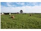 85 Findlay Road, Bass VIC 3991
